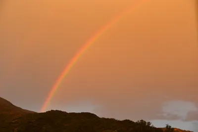 DSC_6053 (Large).JPG